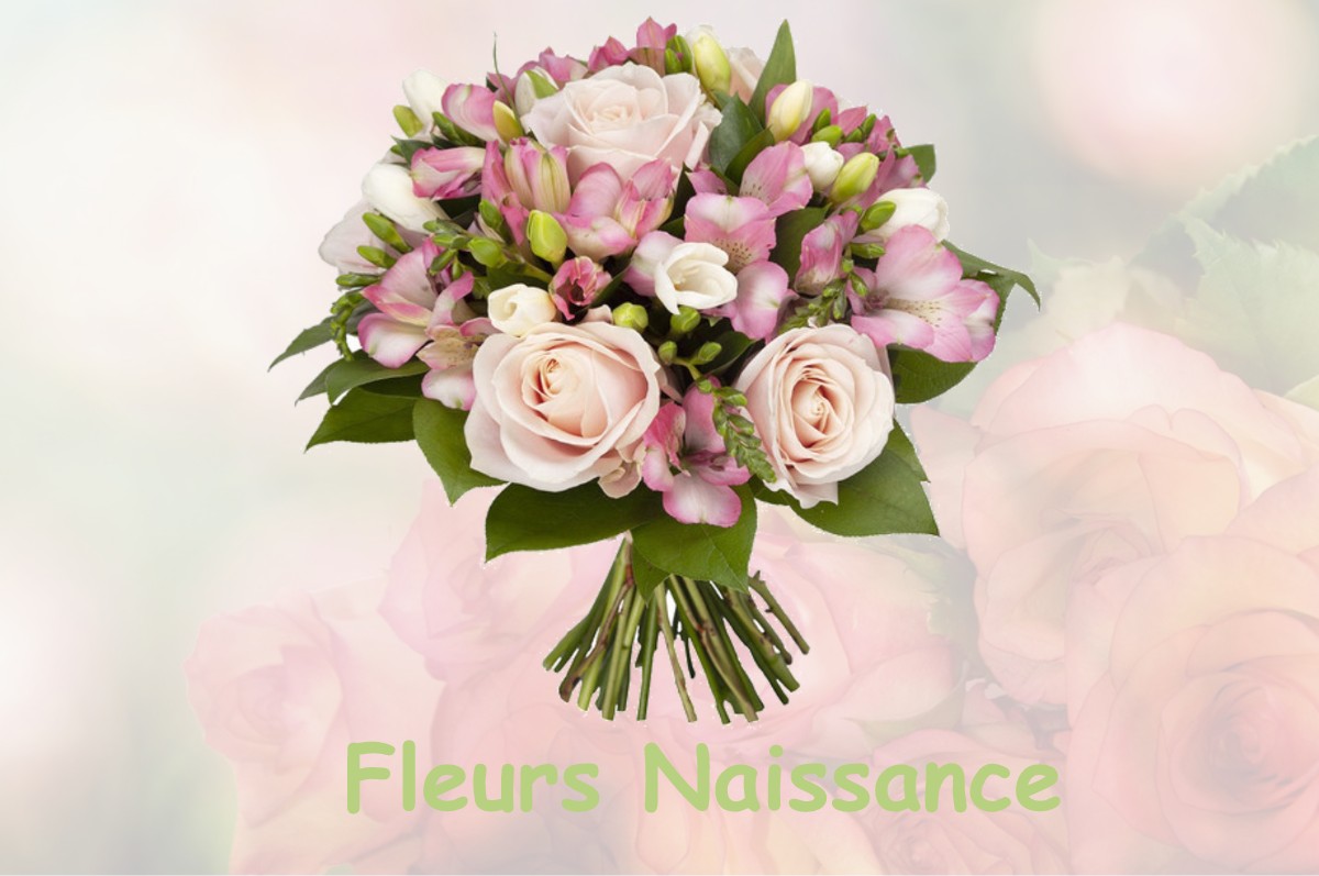 fleurs naissance CHANAT-LA-MOUTEYRE