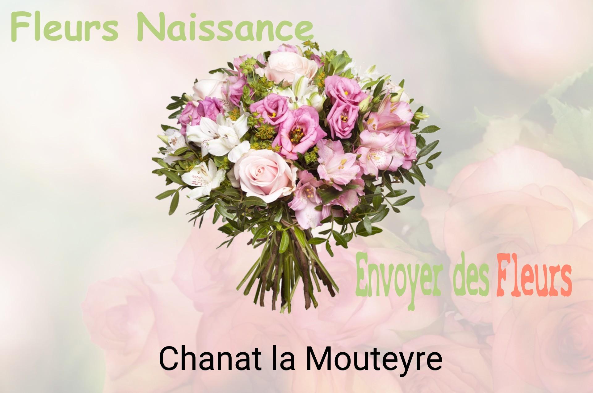 Bouquet de fleurs de naissance livré à Chanat-la-Mouteyre